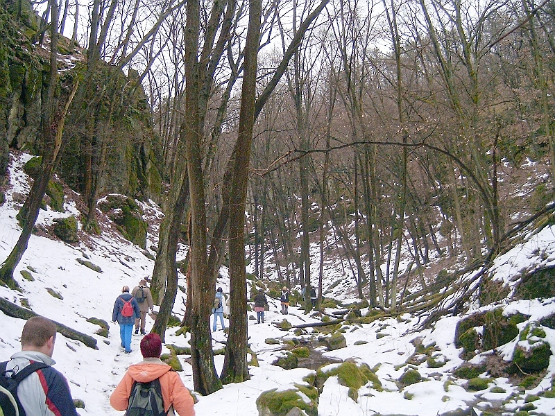 20100220 048.jpg